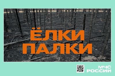 С 15 апреля на территории Новосибирской области установлен особый противопожарный режим!