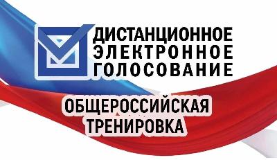 Жители Новосибирска и Новосибирской области смогут поучаствовать в тестировании системы дистанционного голосования