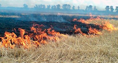 На территории района участились случаи возгорания сухой травы