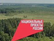Более 1 млрд рублей: в регионе благоустроят города и села по нацпроекту «Жилье и городская среда»