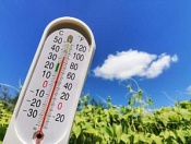 В Новосибирск пришла аномальная жара