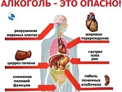 С 10 июня по 16 июня в России проходит неделя отказа от алкоголя