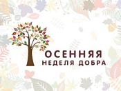 «Осенняя неделя добра»