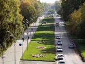 Кировчане смогут принять активное участие в обсуждении «Концепции по озеленению бульвара по ул. Петухова»