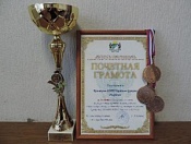 Завершились соревнования среди Народных дружин  города Новосибирска