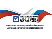Общероссийская тренировка по дистанционному голосованию 