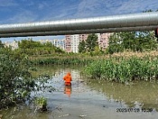 Озеро с дикими утками! Сохраним озеро в чистоте!