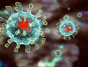 Меры профилактики коронавирусной инфекции