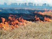 На территории района участились случаи возгорания сухой травы