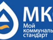 Отчет ЗАО «МКС-Новосибирск»