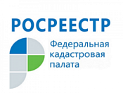 Почти 2 миллиона выписок из реестра недвижимости выдано в Новосибирской области