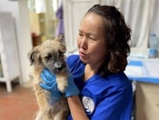 Новосибирские ветеринары оказали помощь животным  Луганской Республики