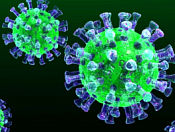 Продолжается вакцинация от коронавирусной инфекции 