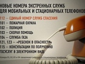 В Новосибирской области увеличилось число телефонных обращений, отнесенных к категории «детские шалости»