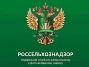 Управление по Новосибирской области Федеральной службы по ветеринарному и фитосанитарному надзору (Россельхознадзор) сообщает