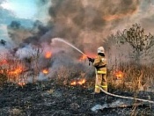 На территории Новосибирска продолжается пожароопасный период