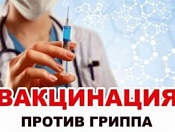 В Новосибирской области началась вакцинация против гриппа 