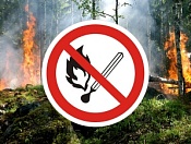 С 30 апреля по 10 мая на территории Новосибирской области установлен особый противопожарный режим