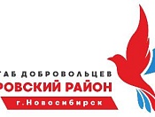 Стартовал набор в Совет добровольцев Кировского района