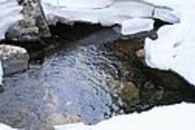 Профилактическая акция «Безопасный лед» продолжается