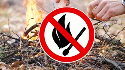 Особый противопожарный режим установили в Новосибирской области