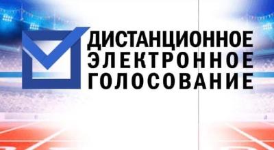 Началось тестовое дистанционное голосование