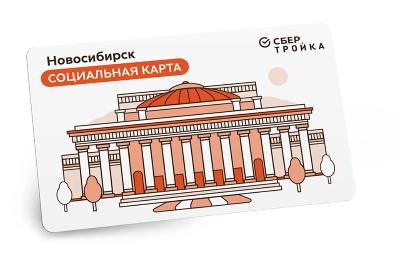 Социальная карта