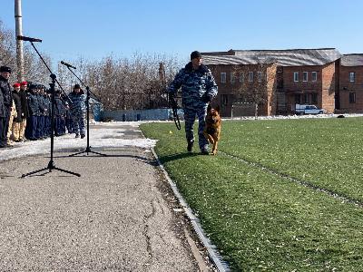 Дрессировка собаки – безопасность окружающих