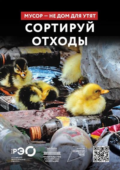 Почему сортировка мусора — это не просто мода, а необходимость?