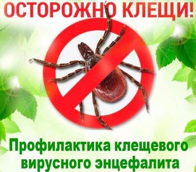 Весна начинается – клещи просыпаются!