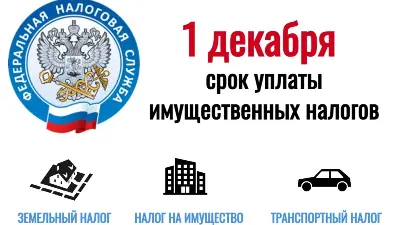 Межрайонная ИФНС России № 19 по Новосибирской области напоминает о сроке уплаты имущественных налогов физических лиц 01.12.2025