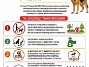 О правилах выгула домашних животных: что говорит закон?