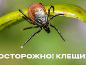 Весна пришла - пора прививаться от клеща!