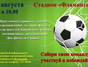 Соревнования по мини-футболу среди жителей Кировского района